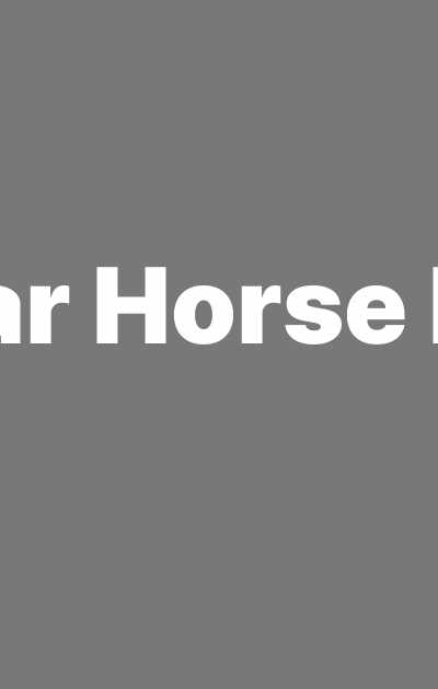 War Horse Ink in Lakewood, OH
