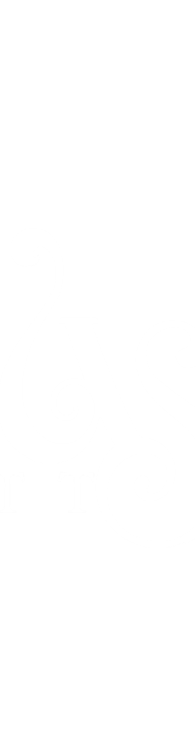 Illusia Tattoos in Lakewood, CO