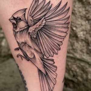 Mourning Dove Tattoo in Matthews, NC