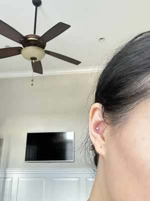 Timeless Tattoos and piercings in Noblesville, IN
