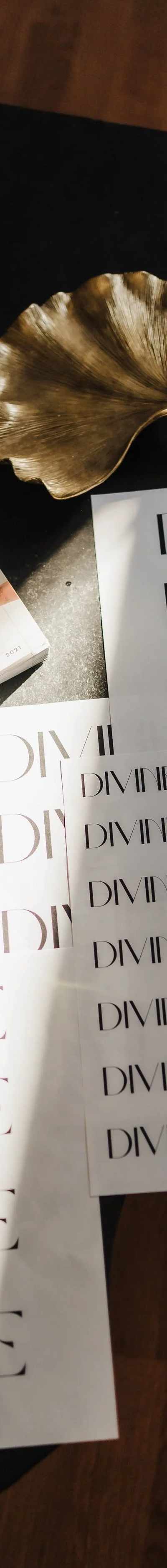 Divine Ink Studio + Creatives in Parma, OH