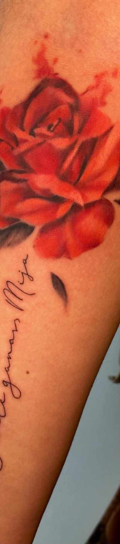 Ink Gallery Tattoo Studio in Paterson, NY