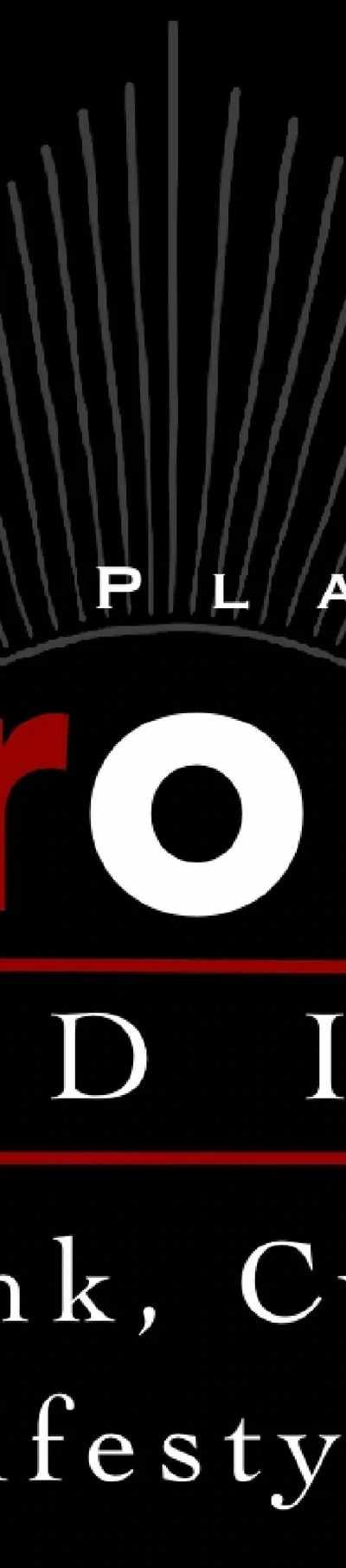 2Groovy Studios LLC Art Collective & Tattoo in Plano, TX