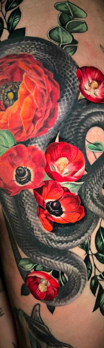 Poppy Tattoo in Somerville, MA