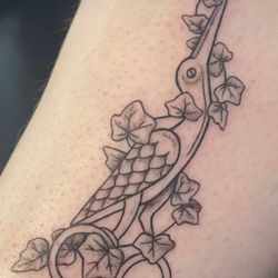 The Aviary Tattoo Shop in Upper Darby, PA