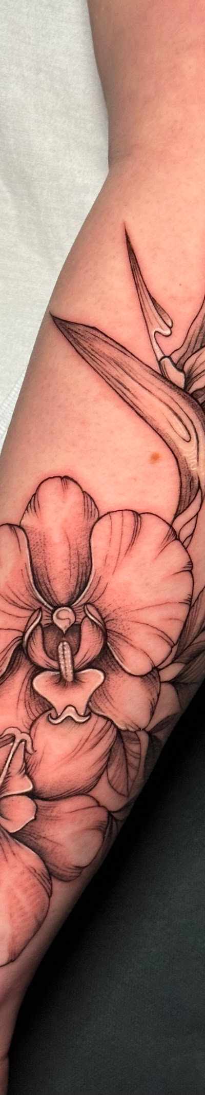 Tattoo Culture MD in Silver Spring, DC
