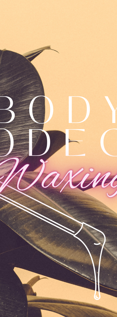 Body Bodega in Albuquerque, NM