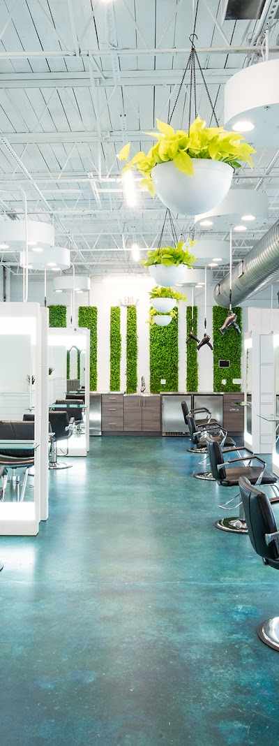 Forecast Salon in Birmingham, AL