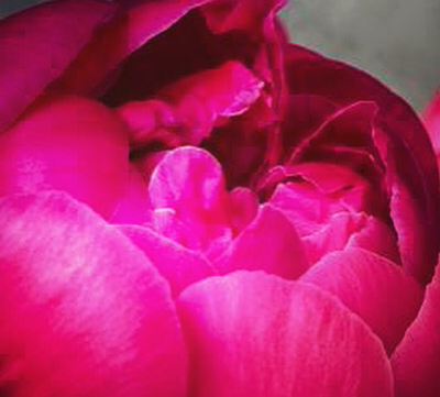 Peony Beauty Studio in Chicago, IL