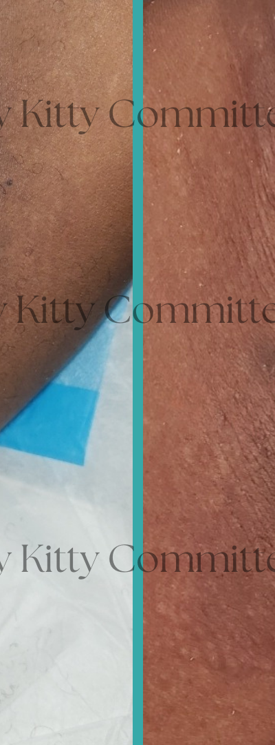 The Pretty Kitty Committee Detroit in Detroit, MI
