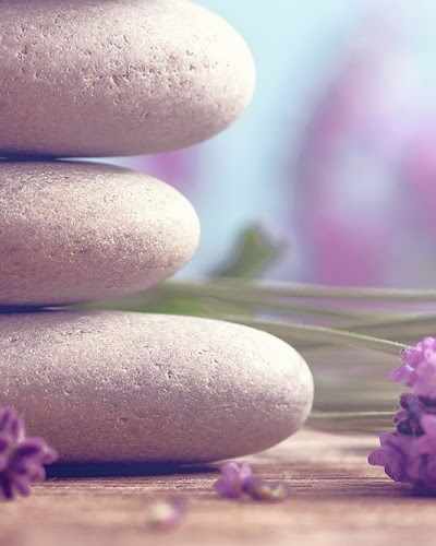 Naked Skincare & Waxing Spa in Houston, TX
