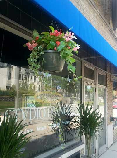 Studio D'Angeli in Milwaukee, WI