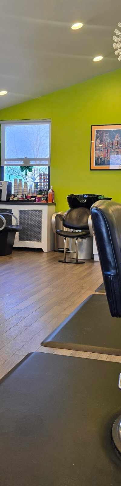 Salon Vibes on the Mount in Pittsburgh, PA