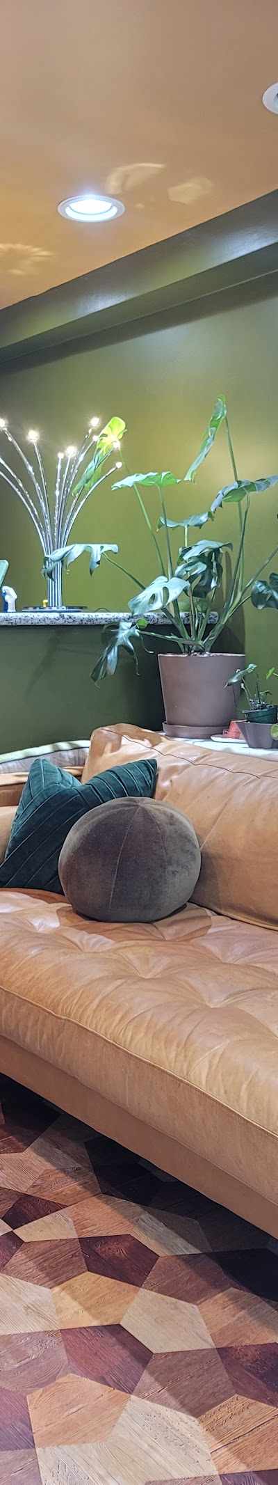 Safe Space Esthetics in Portland, OR