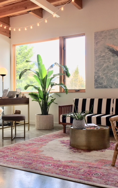 The Treatment with Beth Peppe & CO in Portland, OR