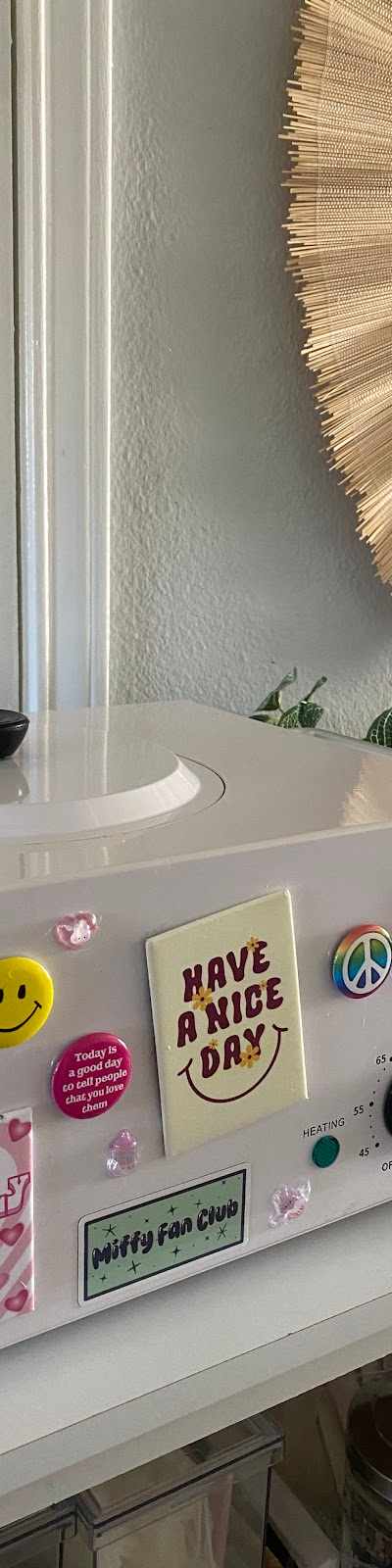 Bush Baby Wax Studio in San Antonio, TX