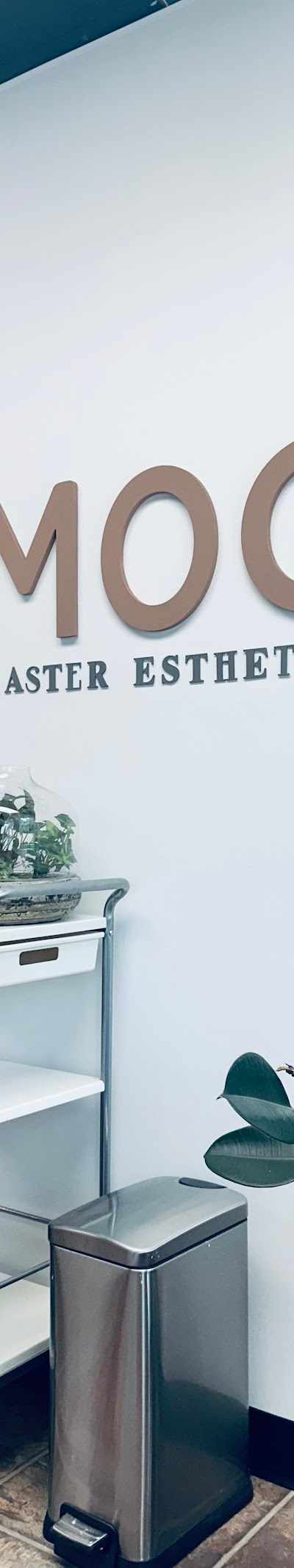 Mod Master Esthetics in Spokane, WA