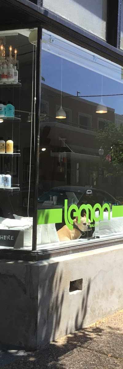 Lemon Salon in St. Louis, MO