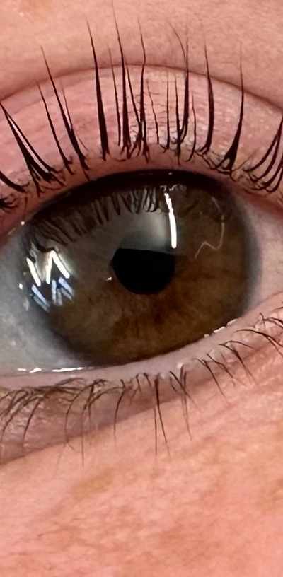 Ur Eyebrows Threading & Beauty by Sabina (For women’s only) in Tampa, FL